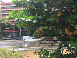 Sing Joo Walk (D8), Apartment #300305631